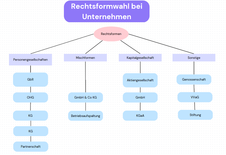 Wahl der Rechtsform 